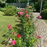 Bezaubernde Mit Rosengarten *