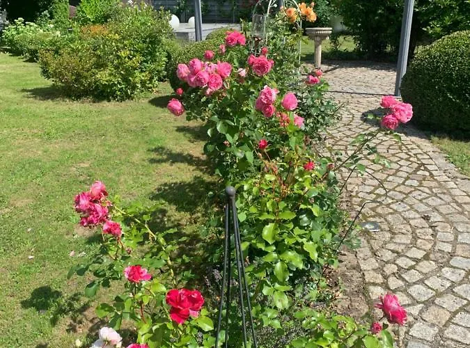 Bezaubernde Mit Rosengarten *