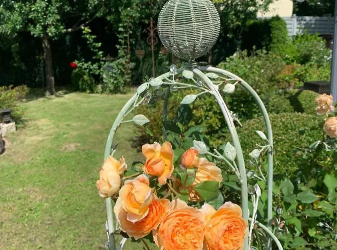 Bezaubernde Mit Rosengarten