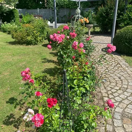 Bezaubernde Mit Rosengarten *