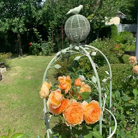 Bezaubernde Mit Rosengarten
