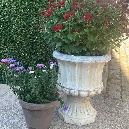 Bezaubernde Mit Rosengarten Waldershof
