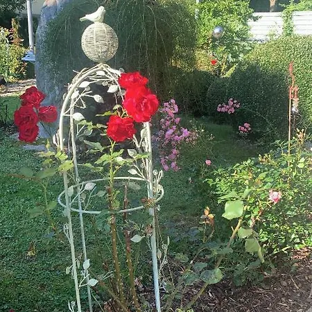 Bezaubernde Mit Rosengarten Waldershof